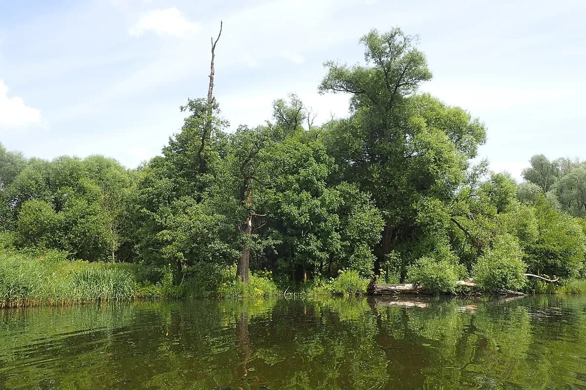 Best Time to Visit Szczecin: 2026 Month-by-Month Guide