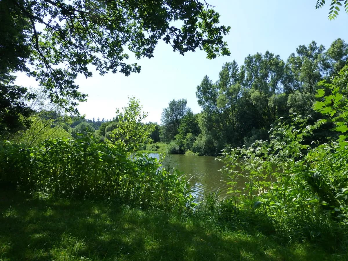 Day Trips From Częstochowa: 2026 Travel Guide