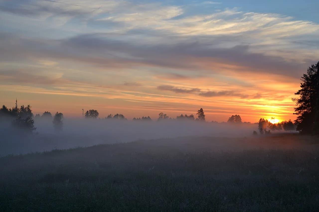 Nature in Poland: Travel Guide 2026