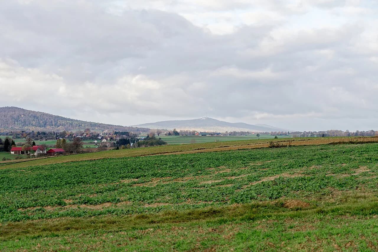 Visiting the Świętokrzyskie Mountains from Kielce: A Hiker's Guide