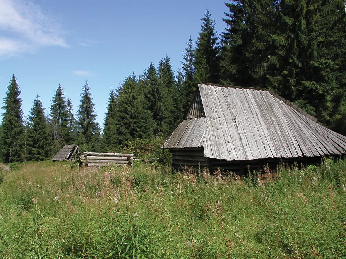 Zakopane Festivals & Events 2026: Your Cultural Guide
