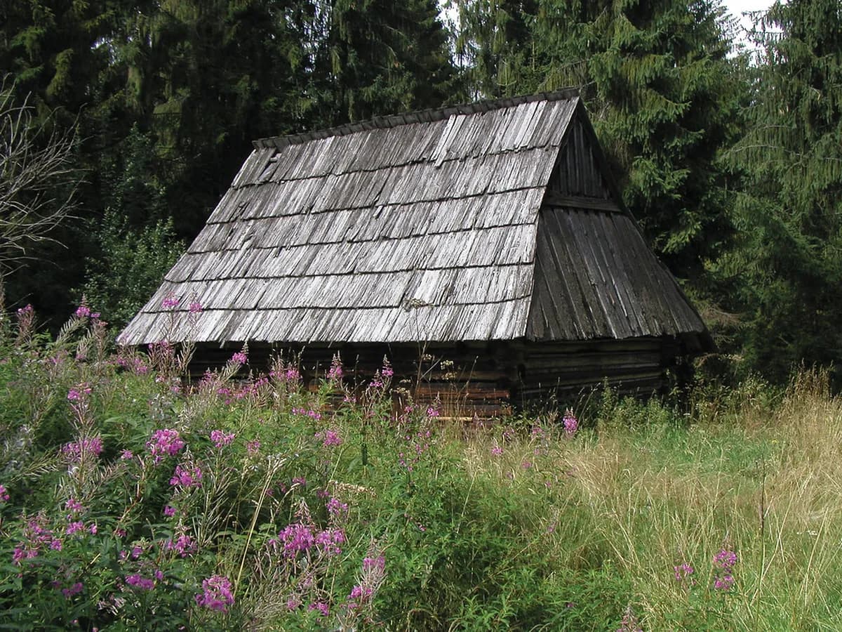 Your Perfect Zakopane Weekend Itinerary Guide
