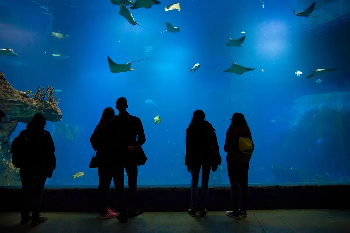 Visitors watching marine life in the Africarium at Wrocław Zoo