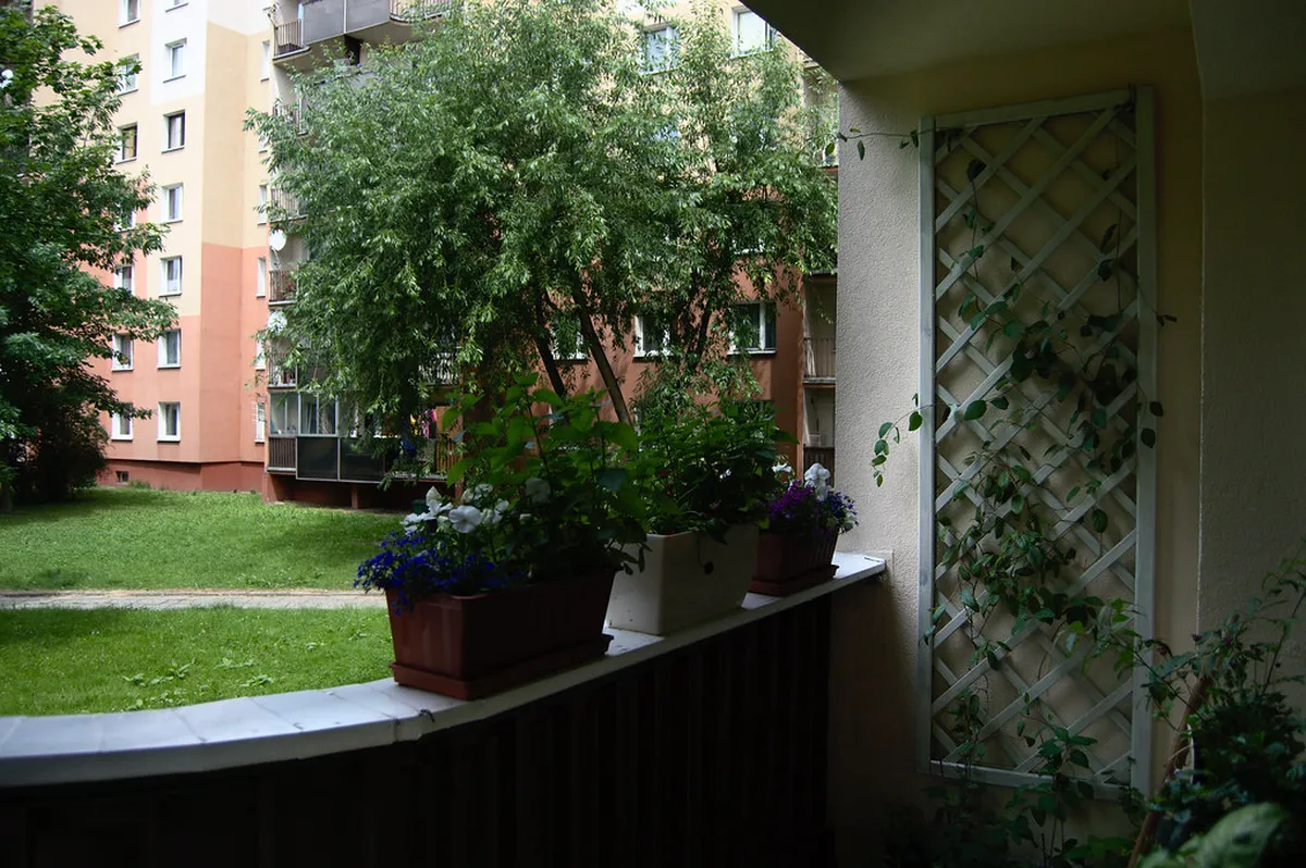 Charming Mid-Range Hotels for Every Traveler in krakow