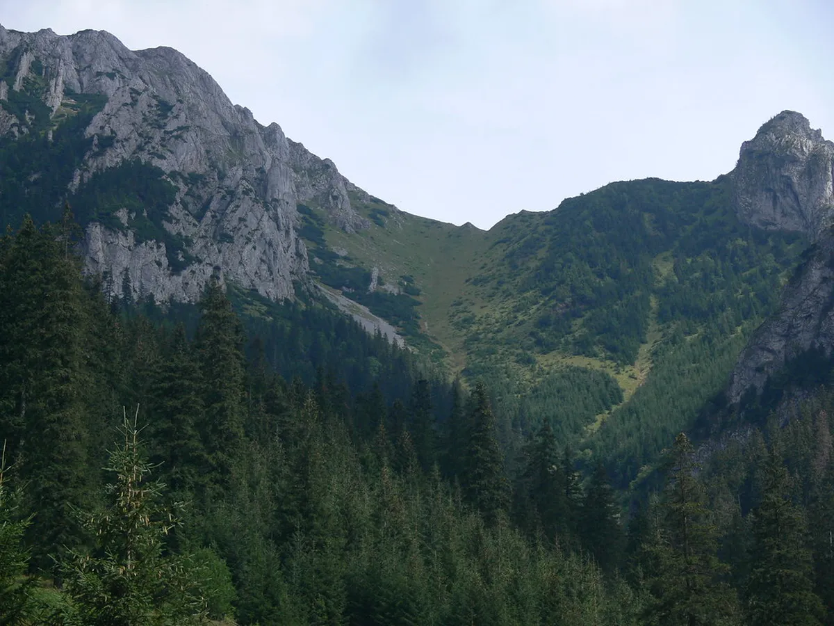 Kościeliska Valley