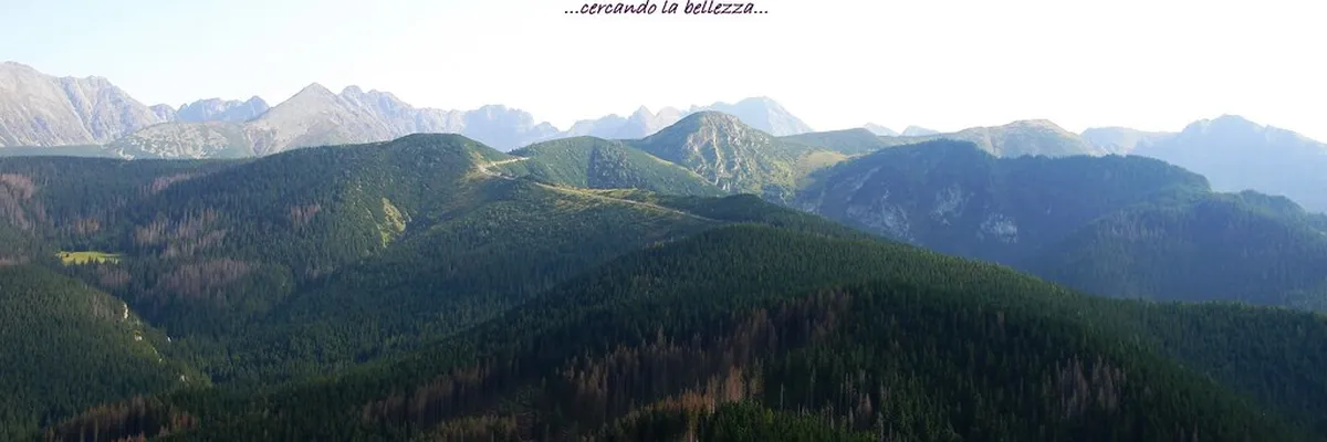 Explore Zakopane's Natural Trails for Free in zakopane