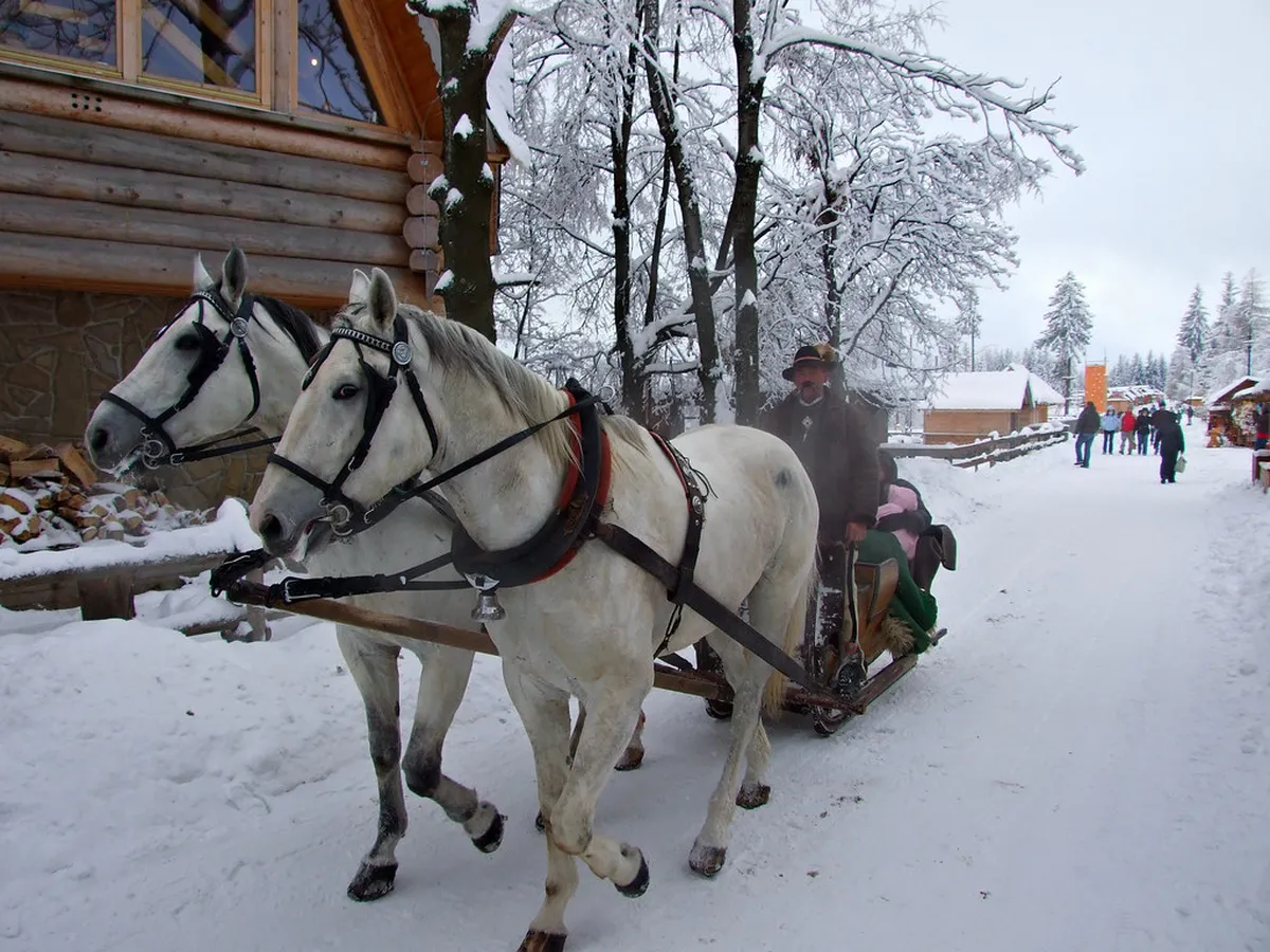 Is 5 Days in Zakopane Enough for First-Timers? in zakopane