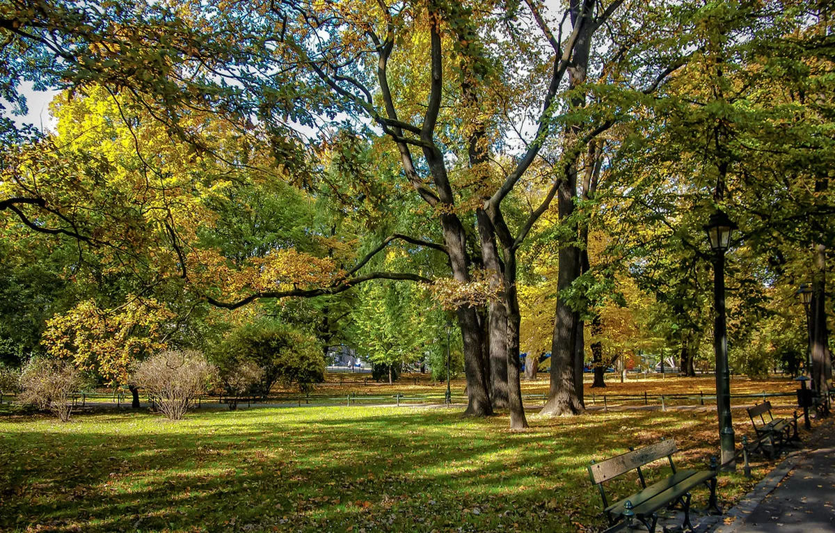 Autumn in Krakow: Crisp Air and Golden Hues in krakow