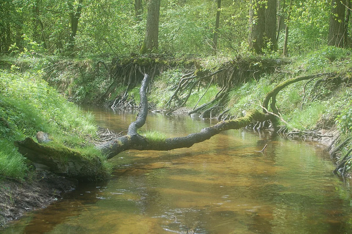Nature In Poland — 2