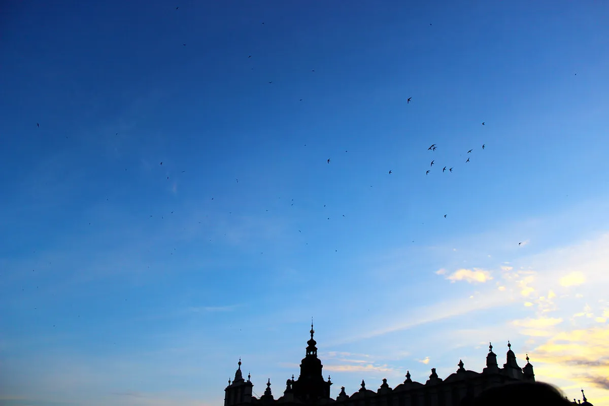 7 Best Spots for Shopping in Krakow in krakow