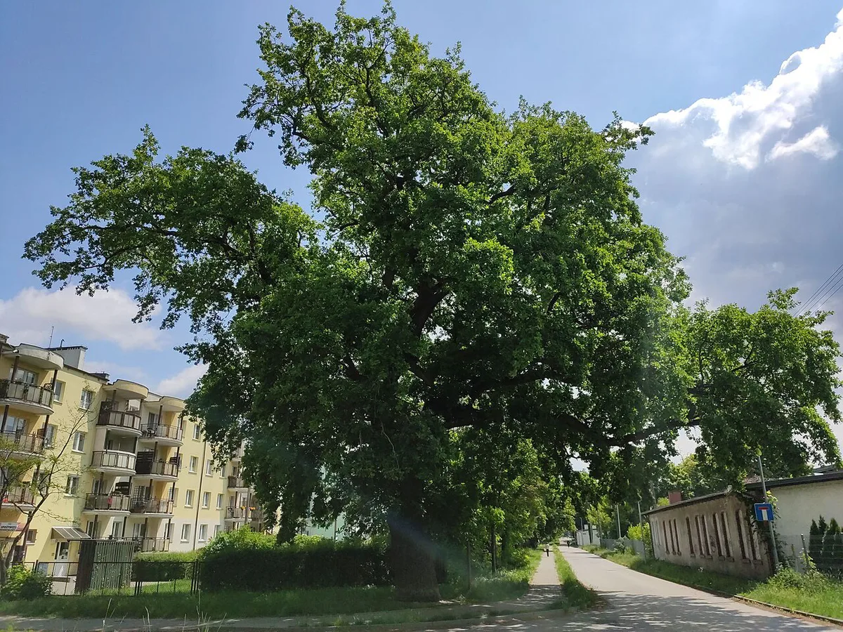 Torun With Kids, Poland — 2