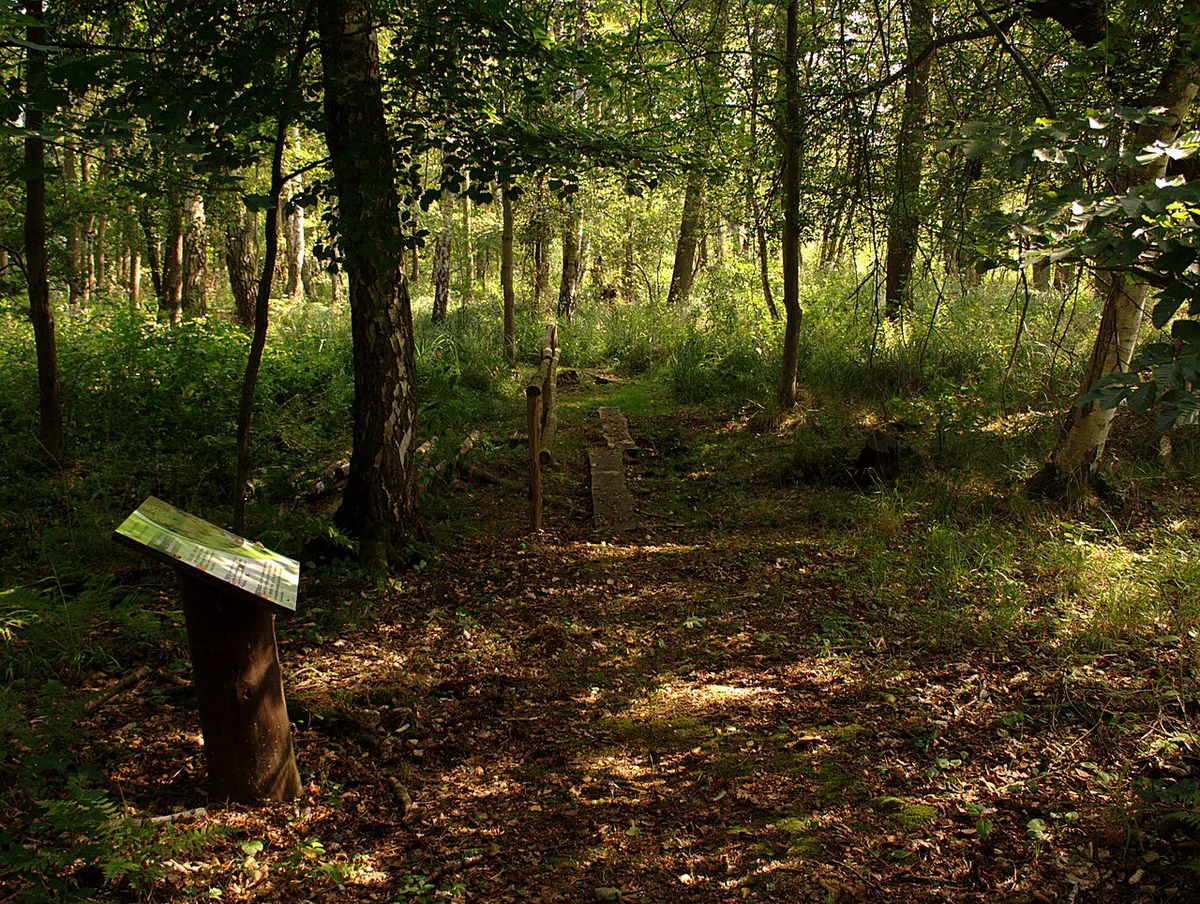 Wolin National Park — 2