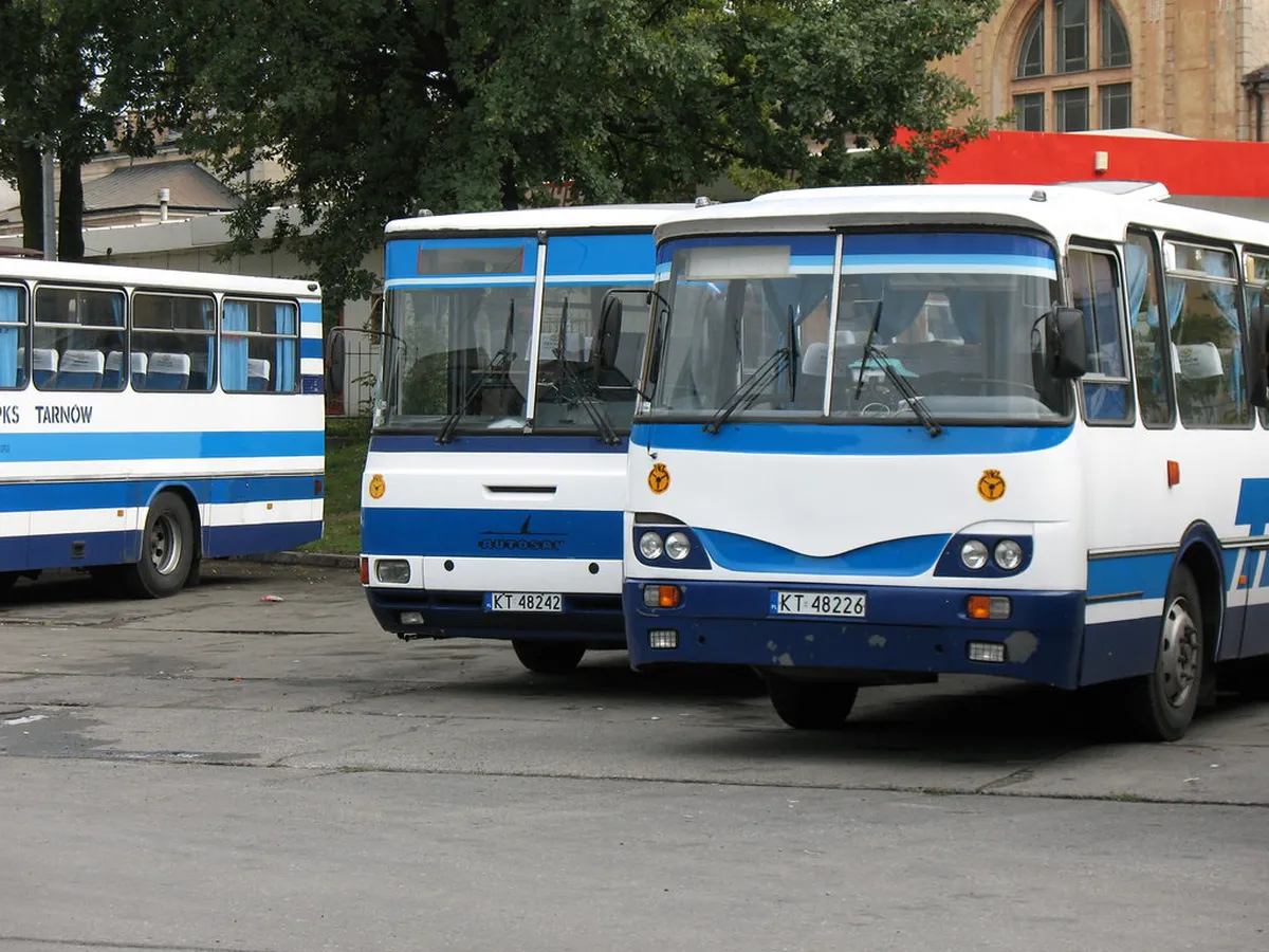 Public Transport: Bus 106 and Night Bus 206 in Poland
