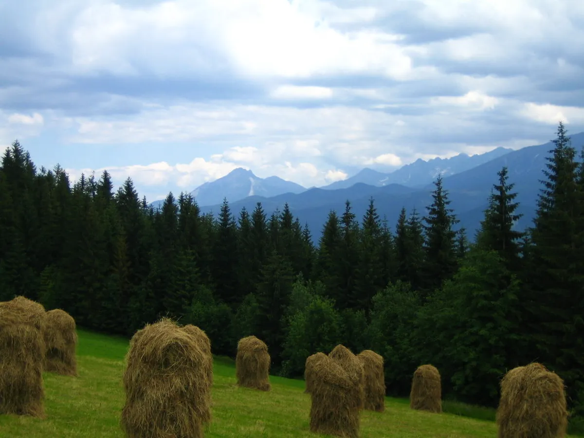Day 3: Nature's Embrace and Departure in zakopane
